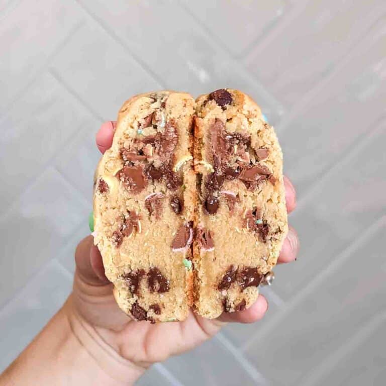 Mini Egg cookie being held up by hand