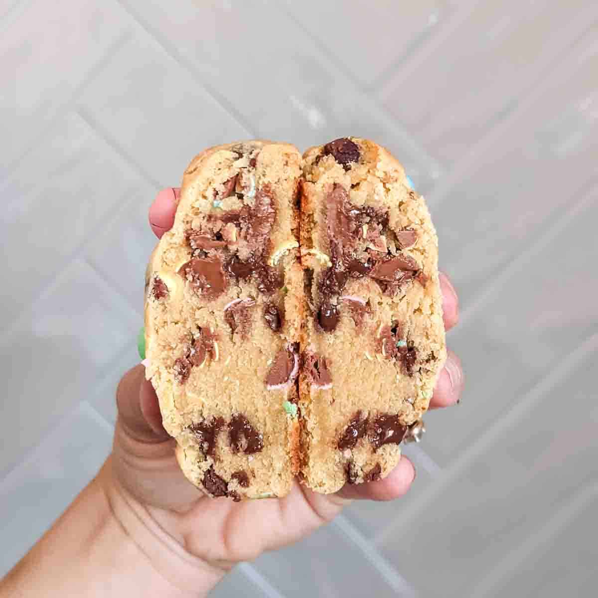 Mini Egg cookie being held up by hand