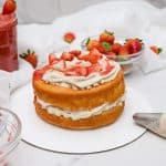 2nd layer added on top of strawberry shortcake