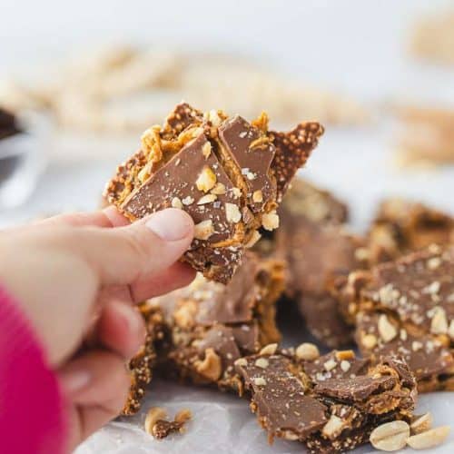 hand holding up piece of date bark