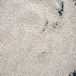 close-up of toasting quinoa in skillet for date bark