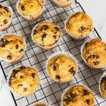baked High Protein Chocolate Chip Muffins