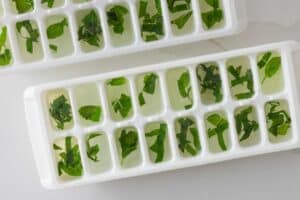 ice cube tray compartments filled with water for mint ice cubes