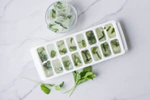 frozen mint ice cubes in tray with glass of ice cubes and mint leaves