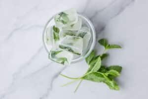 overhead of mint ice cubes in glass ready to be filled