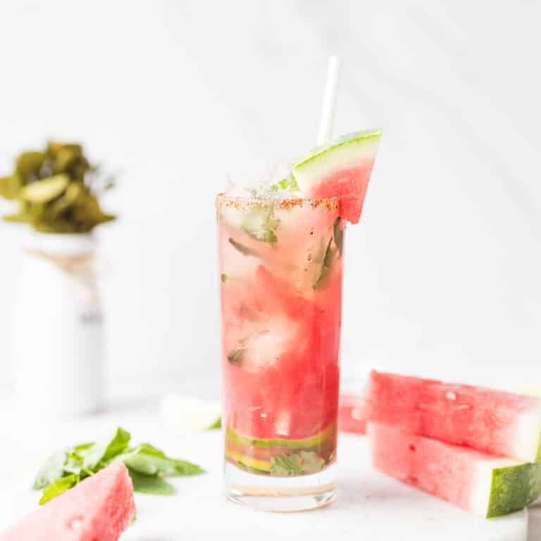 Watermelon Mint Mojito Mocktail in collins glass with watermelon wedge on glass and around